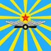 Flaer